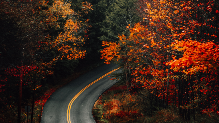The Perks of Buying a Home in Raleigh in the Off-Season