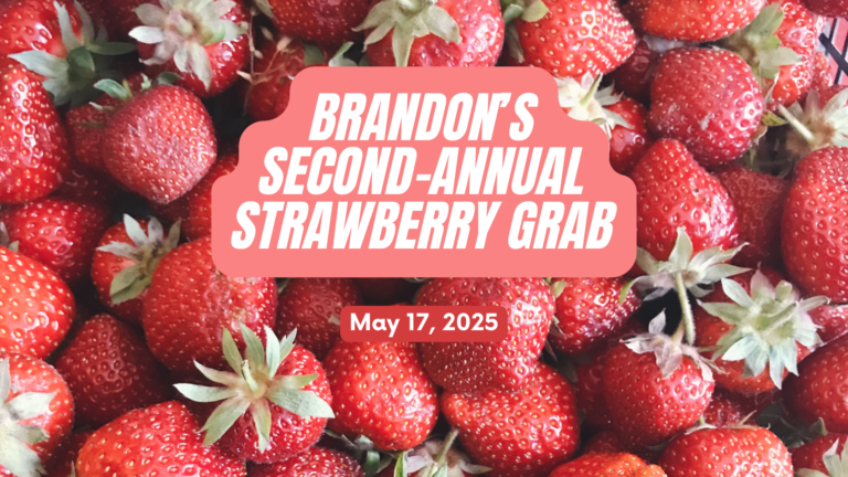 Brandon Yopp is a real estate agent and expert in Raleigh NC and the entire Triangle market. He annually hosts a client strawberry picking event each year.